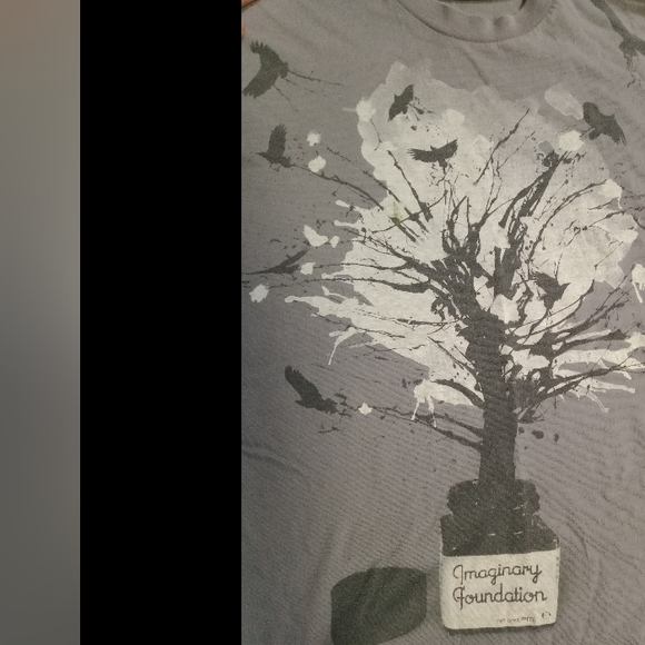 Imaginary foundation Tee men's Unisex tee large - Picture 3 of 4